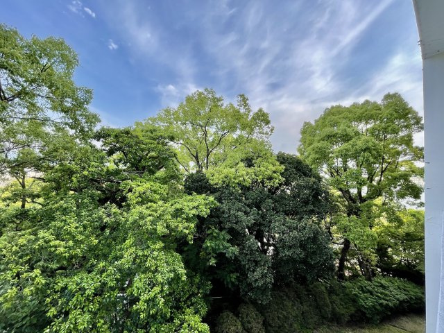 サンライフ名島の展望