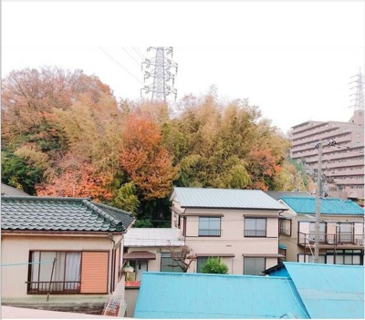 【展望】 | コーラルファーム