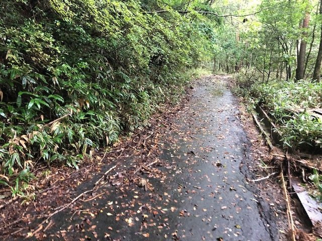 中古戸建　北広島町本地字岡山の前面道路含む現地写真