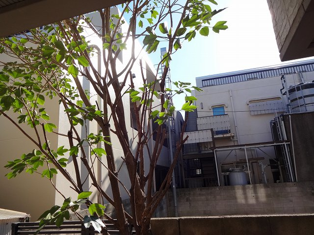 品川区中延３丁目のアパートの展望