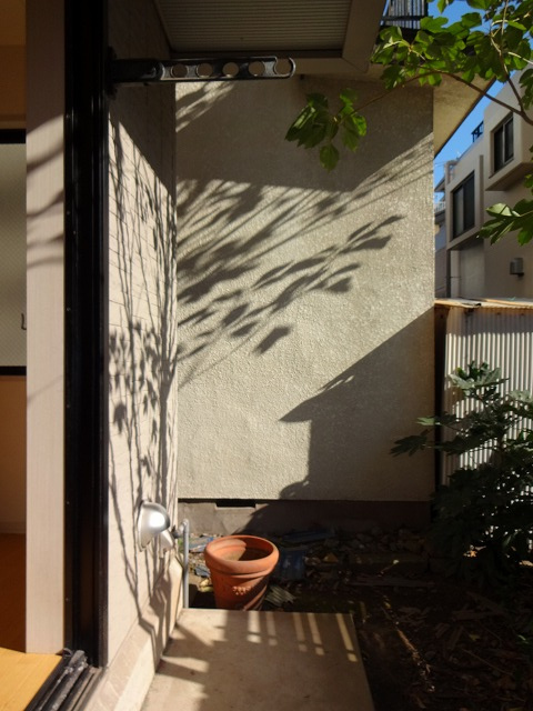 品川区中延３丁目のアパートの庭