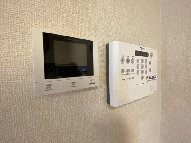 イリーニのセキュリティ