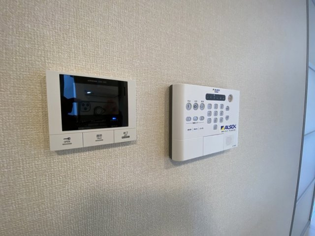 イリーニのセキュリティ