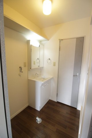 フォーレスツヅキの洗面所