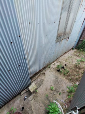 【庭】 | 北本町３丁目貸家