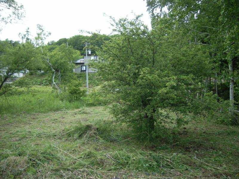 網走市錦町２９番地１２５　売地　の外観