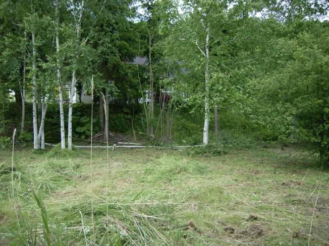 【周辺】 | 網走市錦町２９番地１２５　売地　