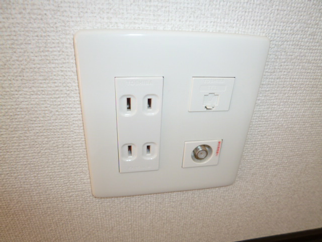 カトレアのその他|ＴＶジャック