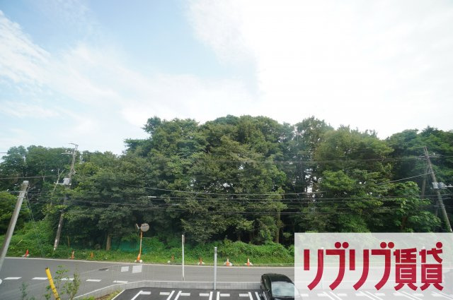 パークタウンの展望