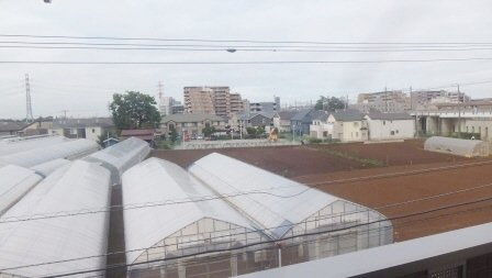 プレジャーの展望|見晴らし良好