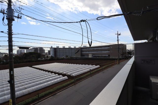 ソラーレ 弐番館の展望