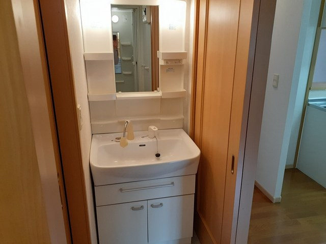 フォーリーフCの洗面所