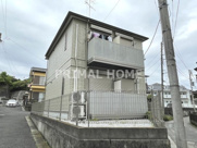 ダンディライオンの画像