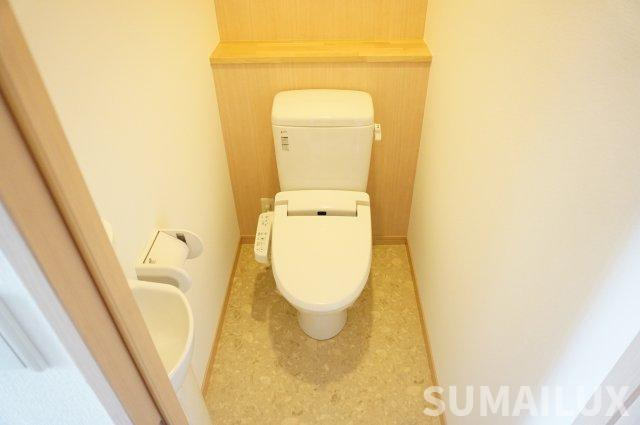 熊本市中央区水前寺公園の賃貸マンションのトイレ