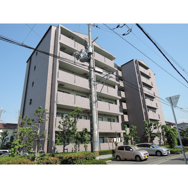 エオリアンハープの外観
