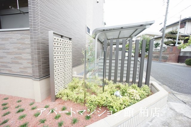 セレーノのその他