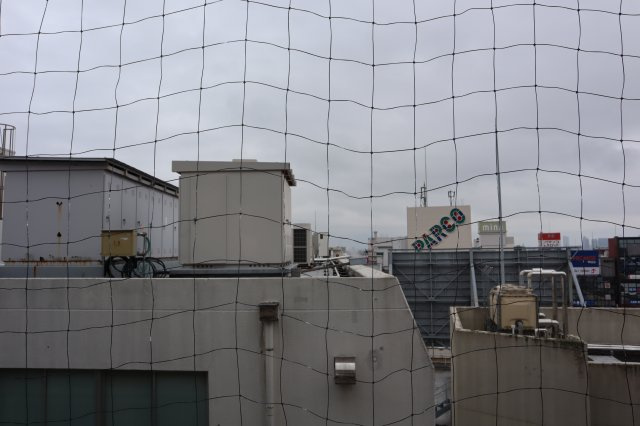 ダイアパレス津田沼の展望|12階につきバルコニ―から空が望めます。朝陽がサンサンとリビングに差し込みます。