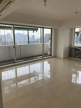 千代田区一番町の賃貸マンションのその他|リビング