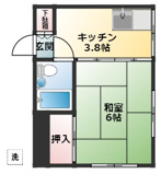 ハウスカエデの画像