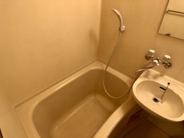 アベニュー藤　(近大　一人暮らし)の浴室