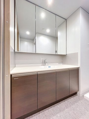 【独立洗面台】 | ソレア | 月額管理料無料！賃貸管理はアブレイズパートナーズにお任せを！