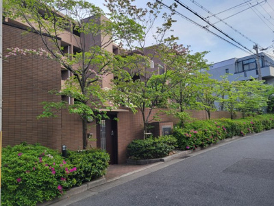 【展望】 | 夙川ソルステージュ | 緑の映えるサブエントランス