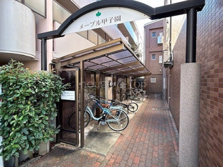 【エントランス】 | メープル甲子園