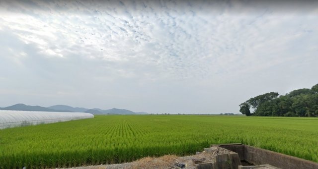 近江八幡市浅小井町　売土地の展望