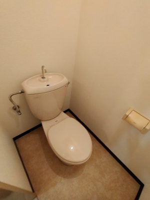 【トイレ】 | シロハイヌ今米