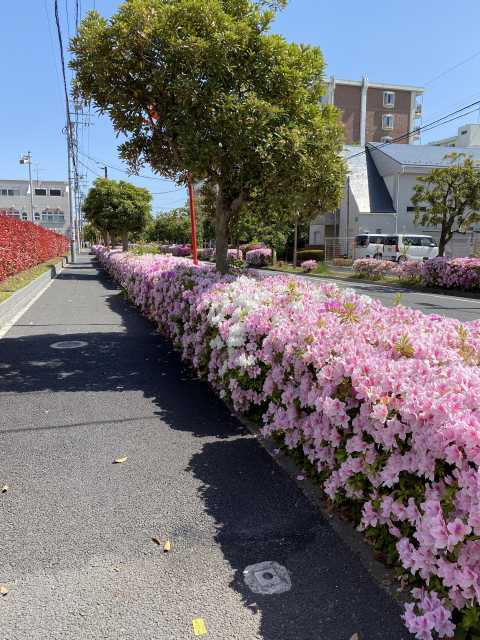 の-の画像