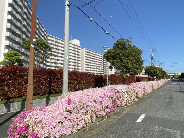 の-の画像