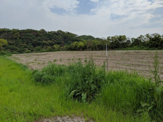 【外観】 | 畑、農地専用です