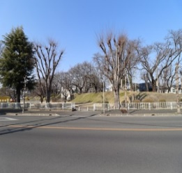 【その他】 | Dimorare（ディモラーレ） | 万平公園まで208m