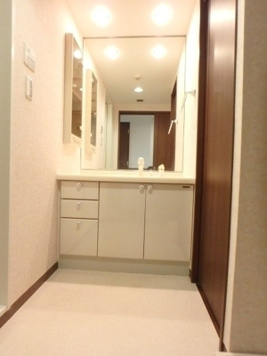 【洗面所】 | 藤和ハイタウン梶ヶ谷