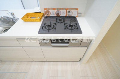 【その他】 | プルメリア