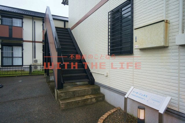 マーサジュネスⅡ【10，000円キャッシュバック対象物件】のエントランス|毎日通るエントランスはこのようになっています