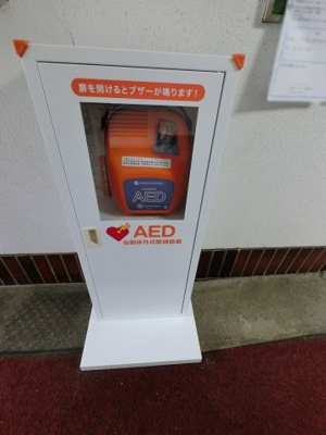 【その他共用部分】 | 【売主直売】大和スカイハイツ | ＡＥＤです。