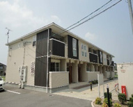 ヴィオラ フィオーレの画像