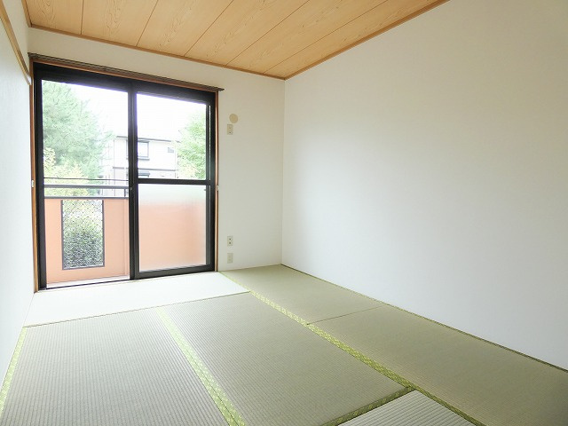 クローカスのその他