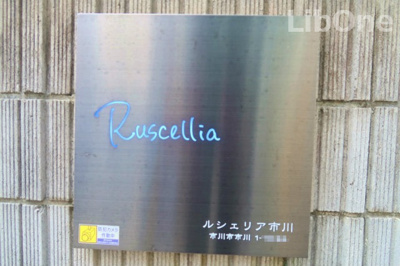 【その他】 | Ruscellia市川
