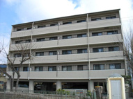 アヴァンティパルコ山本北の画像