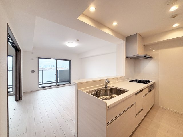 ランドステージ東大島エグゼタワー　13階　リ　ノベーション