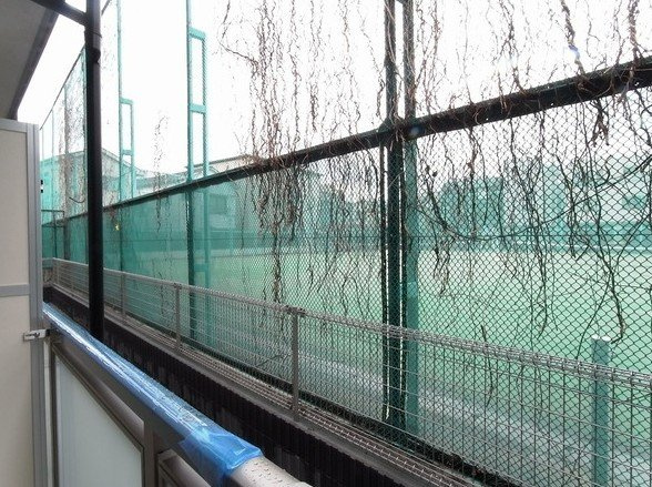 【展望】 | リブリ・シャドゥール