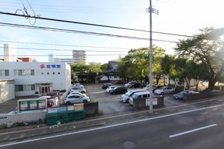 【展望】 | コットンＫ