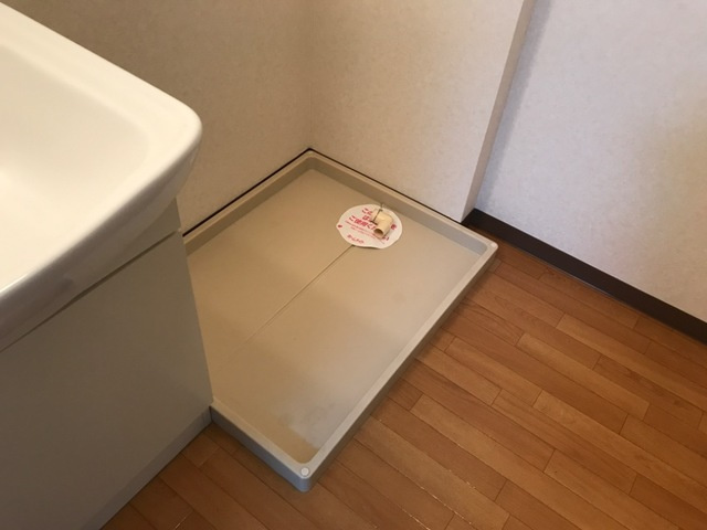 サンヒルズの内装|室内洗濯機置場