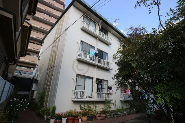 スカイパレス住吉の外観
