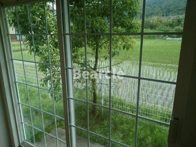 【バルコニー】 | サウスパープル