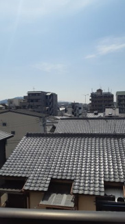 【展望】