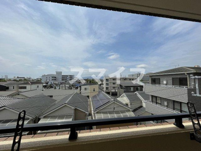 【展望】 | プリムローズ