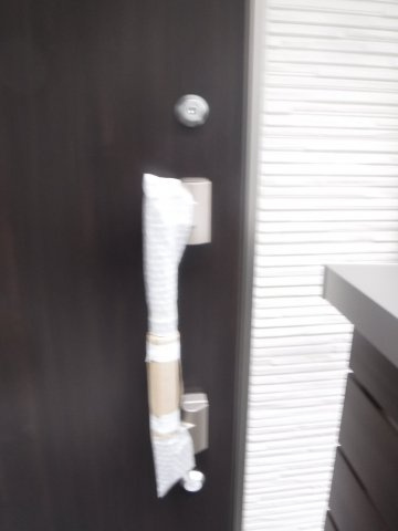 アレアセントロのその他